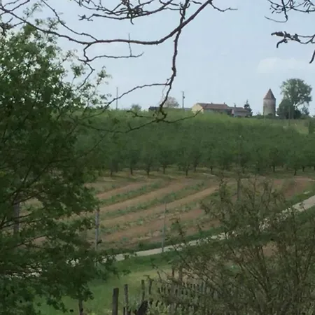 Snug In With Pool בית נופש